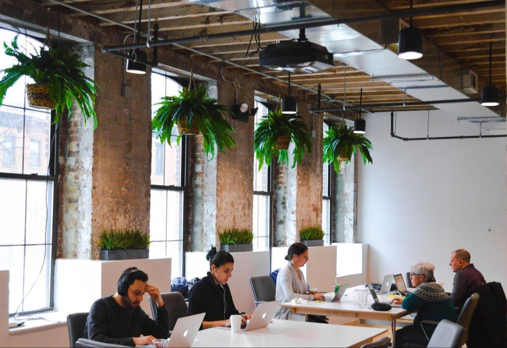 Company Culture: What Is It And How Can You Improve It?