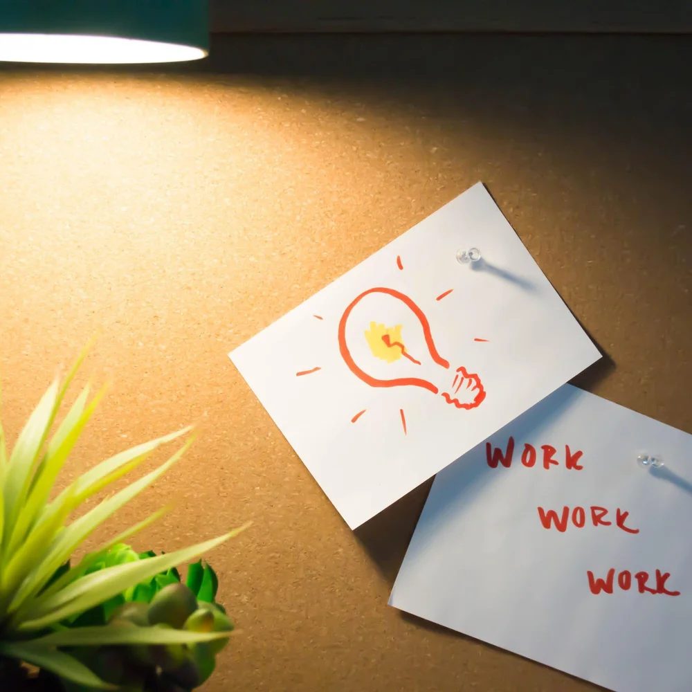 The 12 Best Ways To Create A Sustainable Office And Work Space